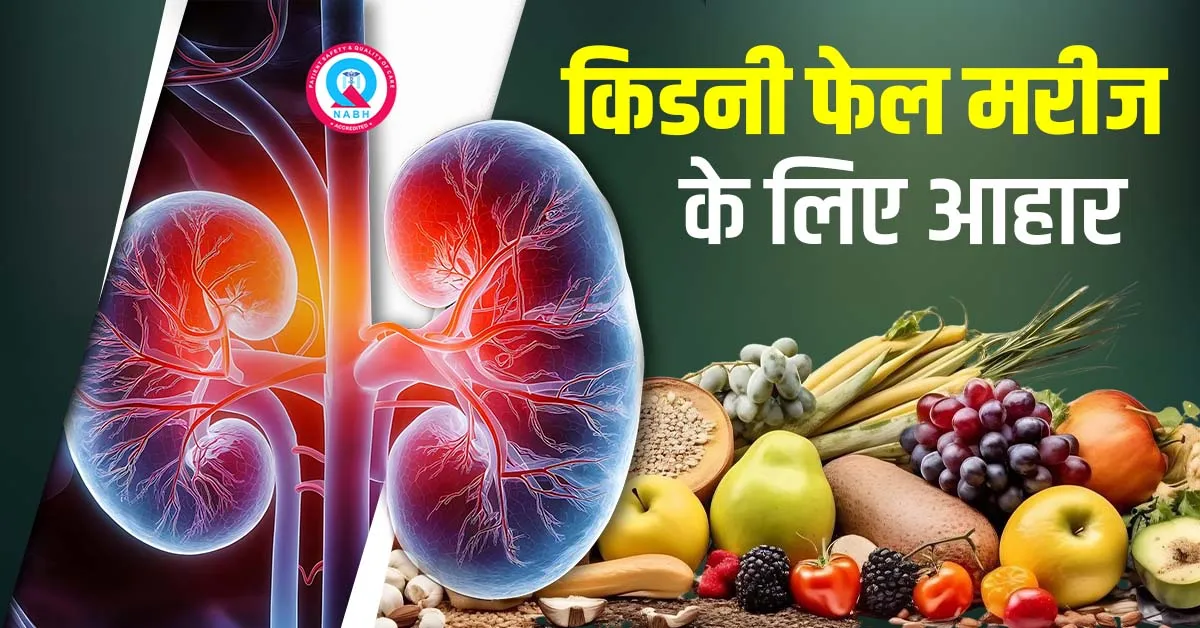 किडनी फेल मरीज के लिए आहार